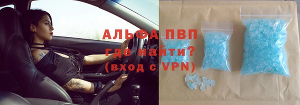 крисы Баксан