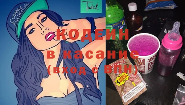 крисы Баксан