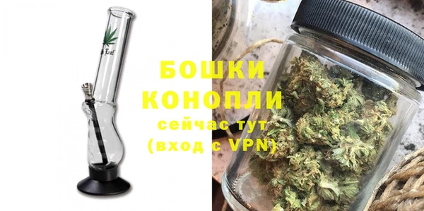 крисы Баксан
