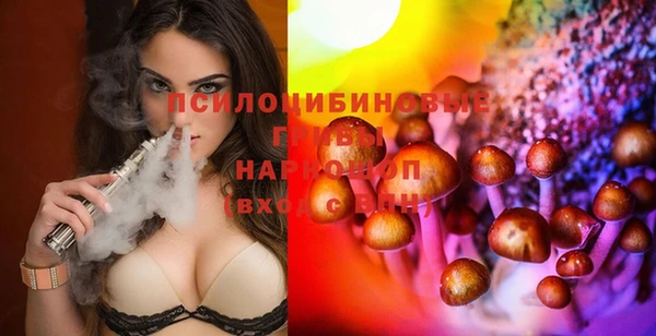 гидропоника Балабаново
